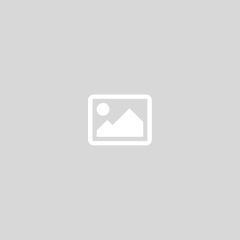 singaporeescortshub